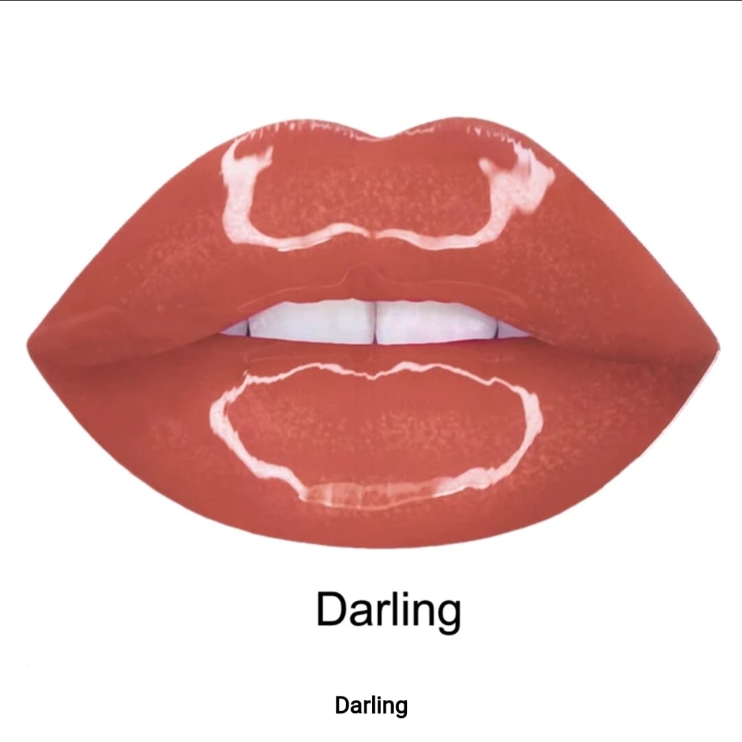 Liquid Matte Lipgloss DARLING