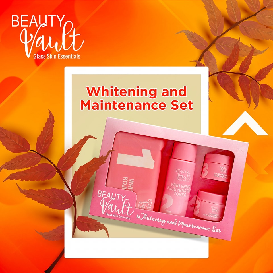Beauty Vault Maintenance Set