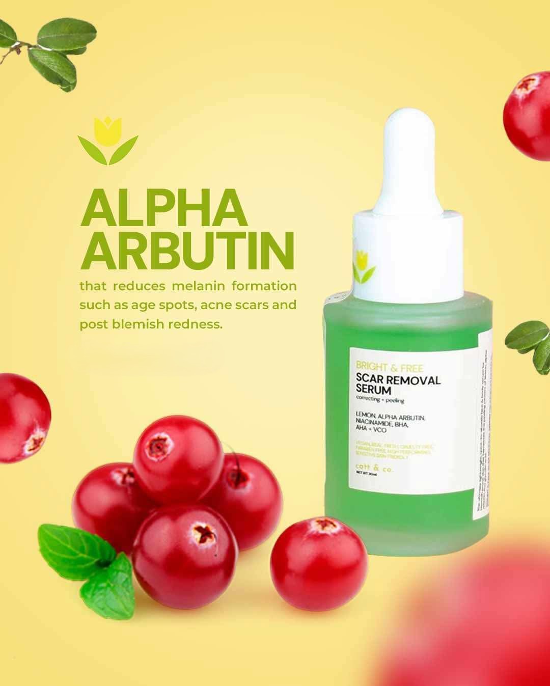 Bright & free Scar Removal Serum