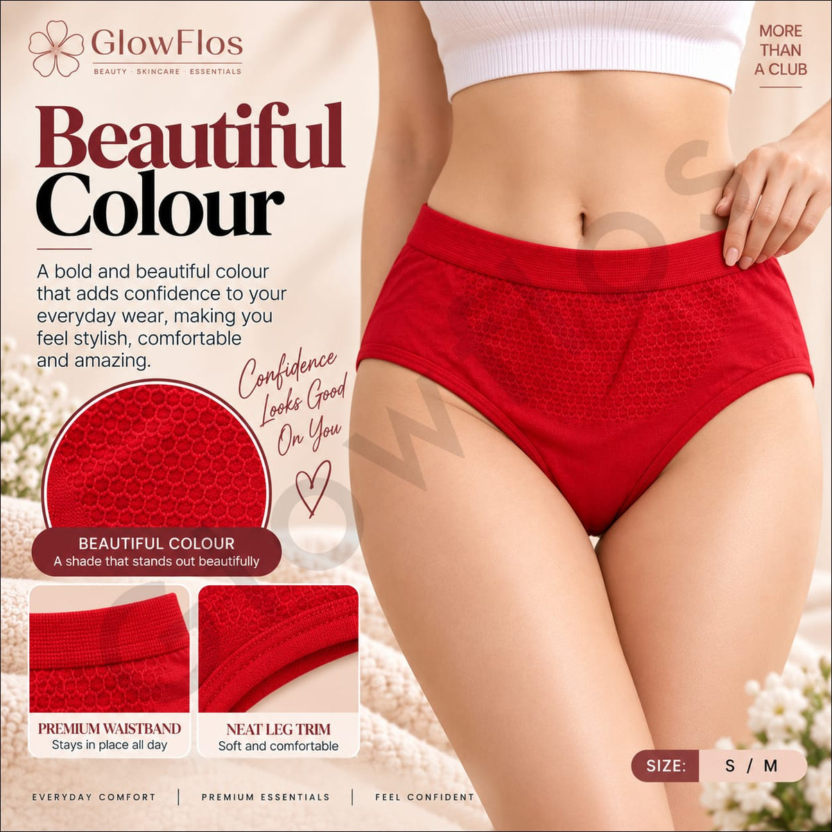 Elegant Lace Briefs