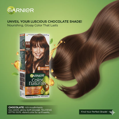 Garnier Hair Color 6.34 Chocolate