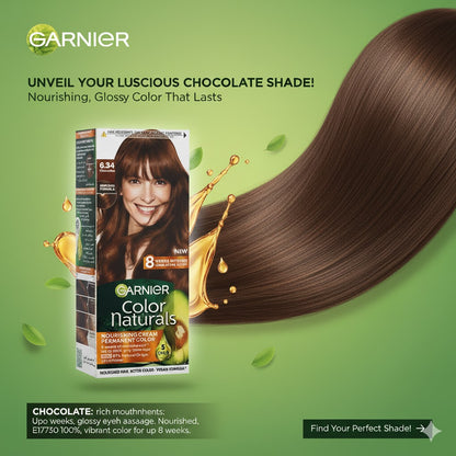 Garnier Hair Color 6.34 Chocolate