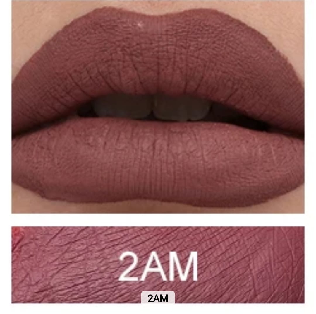 Liquid Matte Lipgloss 2AM