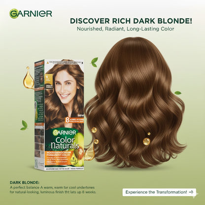 Garnier Hair Color 6 Dark Blonde