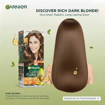 Garnier Hair Color 6 Dark Blonde