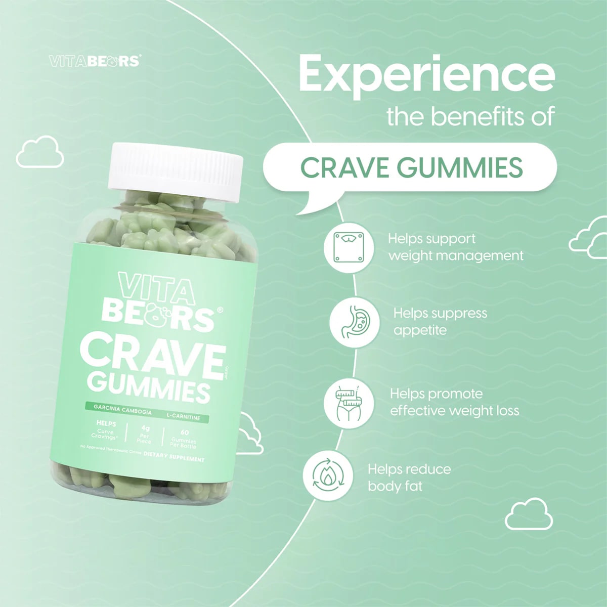Vita Bears Crave Gummies